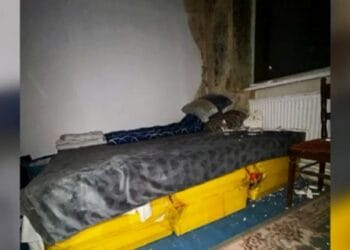 Români exploatați de un ROMÂN, în Germania! Aceștia erau puși să muncească mai bine de 13 ore pe zi!