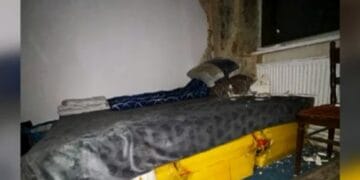 Români exploatați de un ROMÂN, în Germania! Aceștia erau puși să muncească mai bine de 13 ore pe zi!