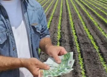 AGI Online, noua aplicație necesară fermierilor pentru digitalizarea parcelelor. APIA vine cu o serie de precizări foarte importante