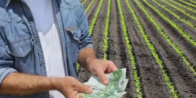 AGI Online, noua aplicație necesară fermierilor pentru digitalizarea parcelelor. APIA vine cu o serie de precizări foarte importante