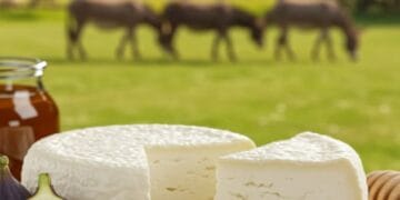 Cea mai scumpă brânză din lume. Costă până la 1.000 de euro pe kilogram