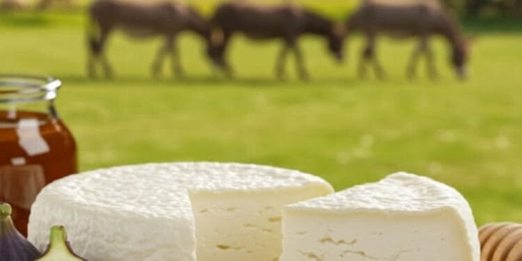 Cea mai scumpă brânză din lume. Costă până la 1.000 de euro pe kilogram