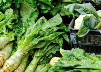 O legumă recomandată de mai toți cunoscătorii. Are vitamina C, mai mult decât alte fructe sau legume. Este gustoasă și poate fi consumată și crudă!