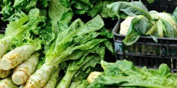 O legumă recomandată de mai toți cunoscătorii. Are vitamina C, mai mult decât alte fructe sau legume. Este gustoasă și poate fi consumată și crudă!