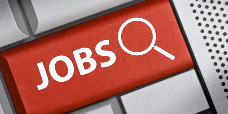 Un mare lanț de magazine face angajări. Multe locuri de muncă sunt disponibile în mai multe județe din țară!