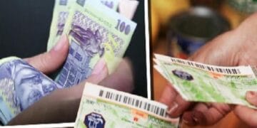 Valoarea tichetelor de masă a fost majorată. Ajustarea se va aplica semestrial