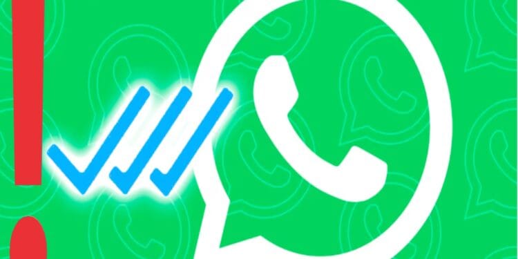 A apărut cea de-a treia bifă la WhatsApp. Ce semnificație nouă aduce utilizatorilor acestei aplicații extrem de folosită pe tot globul
