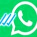 A apărut cea de-a treia bifă la WhatsApp. Ce semnificație nouă aduce utilizatorilor acestei aplicații extrem de folosită pe tot globul