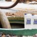 SEPT-X, cel mai nou bioactivator pentru fosa septică. Mirosurile sunt reduse la zero cu această soluție tot mai populară și eficientă