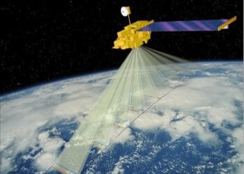 Un singur animal de pe Terra, își cere partenera în căsătorie! Cercetătorii au descoperit acest fenomen fantastic!