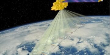 Un singur animal de pe Terra, își cere partenera în căsătorie! Cercetătorii au descoperit acest fenomen fantastic!