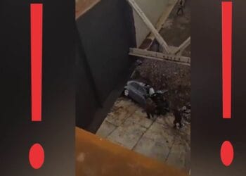 Cascadorie pe patru roți cu mașina. A zburat cu auto după ce s-a crezut superman în fața restricțiilor din trafic