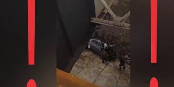 Cascadorie pe patru roți cu mașina. A zburat cu auto după ce s-a crezut superman în fața restricțiilor din trafic