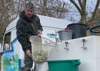 Vânzătorii ambulanți în atenția oamenilor legii. Riscă amenzi substanțiale dacă nu respectă LEGEA!