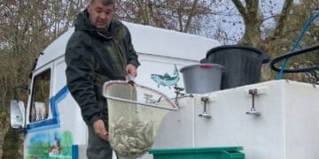 Vânzătorii ambulanți în atenția oamenilor legii. Riscă amenzi substanțiale dacă nu respectă LEGEA!