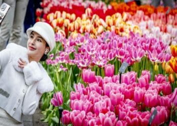 O grădină cu 7 milioane de flori atrage ca un magnet turiștii după ce și-a deschis porțile. Imagini cu peisajul uluitor și programul de vizitare