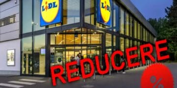 LIDL, super oferte de nerefuzat începând de azi. Produsele dispar rapid de pe rafturi, mai ales în aceste zile încinse!