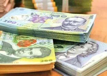 Sprijin de la stat! 200 de euro se dau unei categorii de români! 16 mai, data limită!