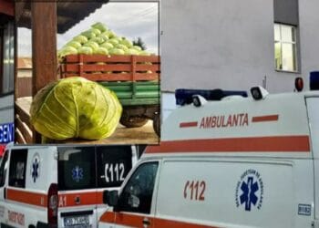 Incident îngrozitor. Mai mulți bărbați au căzut pe rând în bazinul în care puneau varză. Unul dintre ei a decedat