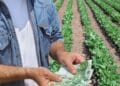 Bani de la STAT pentru agricultori. Suma colosală pe care o primesc aceștia în scurt timp