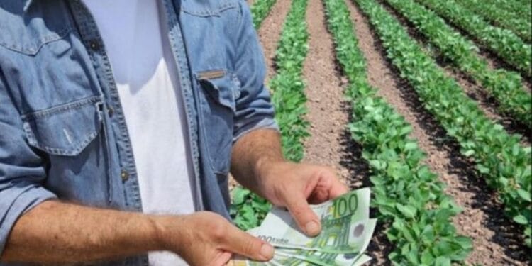 Bani de la STAT pentru agricultori. Suma colosală pe care o primesc aceștia în scurt timp