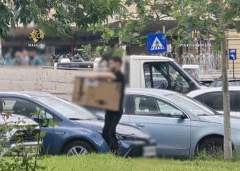 Colet cu peste 6 kilograme de canabis introdus în țară! Destinatarul dă acum cu subsemnatul la DIICOT!