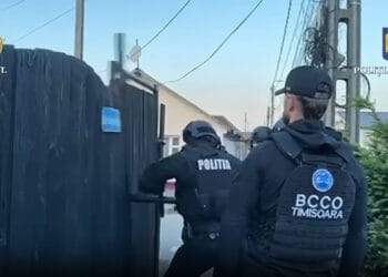 Peste 20 de percheziții pe raza județului! Șapte persoane reținute pentru trafic de droguri de mare risc! VIDEO