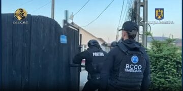 Peste 20 de percheziții pe raza județului! Șapte persoane reținute pentru trafic de droguri de mare risc! VIDEO