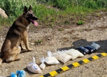 Reținuți pentru că vindeau droguri pe net. Comunicau cumpărătorului locul de unde putea să-și ridice marfa!