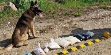 Reținuți pentru că vindeau droguri pe net. Comunicau cumpărătorului locul de unde putea să-și ridice marfa!