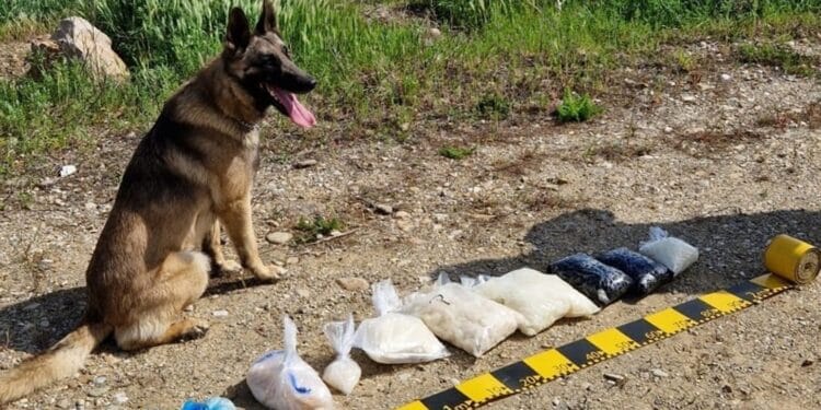 Reținuți pentru că vindeau droguri pe net. Comunicau cumpărătorului locul de unde putea să-și ridice marfa!