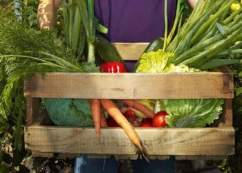 O lege pune în dificultate o mulțime de oameni. Intra în vigoare de la 1 iulie. Amenzile sunt însemnate!