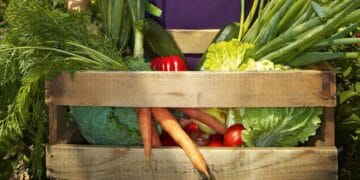 O lege pune în dificultate o mulțime de oameni. Intra în vigoare de la 1 iulie. Amenzile sunt însemnate!