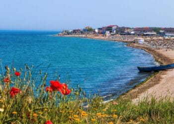 Plajele de pe litoral au fost invadate de alge! Turiștii refuză să mai intre în apă! Administratorii încercă imposibilul!