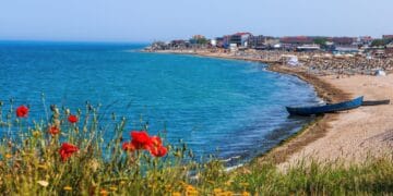 Plajele de pe litoral au fost invadate de alge! Turiștii refuză să mai intre în apă! Administratorii încercă imposibilul!