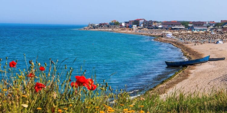 Plajele de pe litoral au fost invadate de alge! Turiștii refuză să mai intre în apă! Administratorii încercă imposibilul!