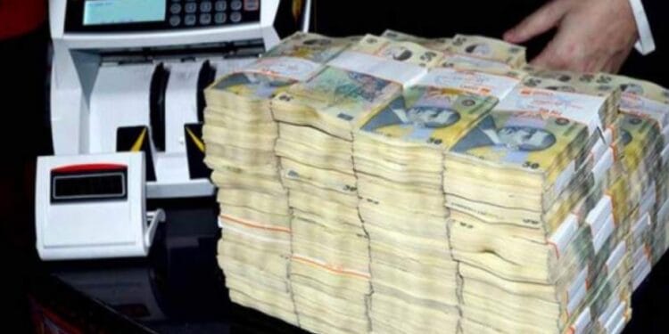 Un bărbat a ascuns o jumătate de milion de euro, în ce nici nu îți trece prin cap! Cum a plimbat banii să nu fie prins cu ei asupra lui! Traseu inedit!