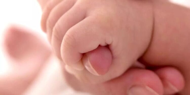 Anchetă! Rămășițele multor bebeluși au fost descoperite într-o fosă septică! Totul ar fi fost pus la cale de câteva călugărițe!