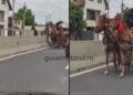 Imagini care s-au viralizat pe rețelele de socializare. Căruță pe contrasens pe un drum al morții din Argeș