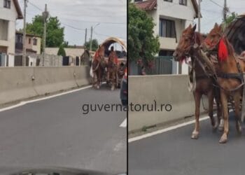 Imagini care s-au viralizat pe rețelele de socializare. Căruță pe contrasens pe un drum al morții din Argeș