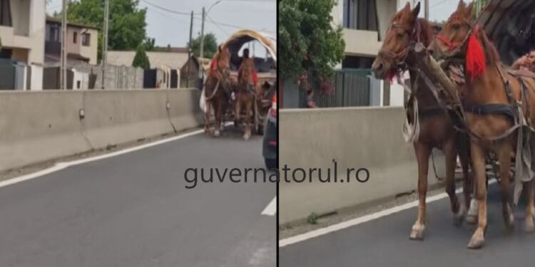 Imagini care s-au viralizat pe rețelele de socializare. Căruță pe contrasens pe un drum al morții din Argeș