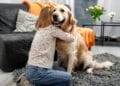 Controale la sânge la deținătorii de câini! Animalele au fost înregistrate și microcipate