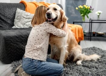 Controale la sânge la deținătorii de câini! Animalele au fost înregistrate și microcipate