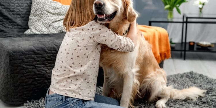 Controale la sânge la deținătorii de câini! Animalele au fost înregistrate și microcipate