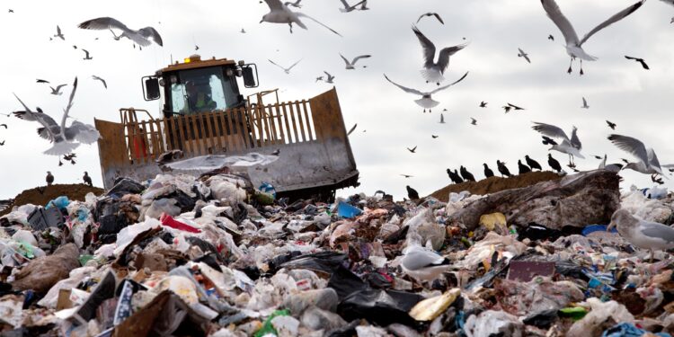 Achiziții fictive de deșeuri de peste 20 de milioane lei! Descinderi de proporții pe raza mai multor județe. VIDEO