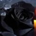 O tânără de 17 ani a fost omorâtă în locuința ei. Ucigașul a dorit să se întâlnească cu victima, dar a fost refuzat!