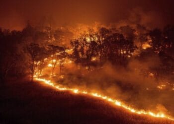 Incendiu de amploare pe dealuri. Pompierii se luptă cu flăcările ca să salveze casele locuite din apropiere