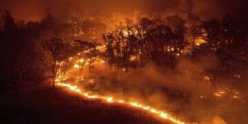 Incendiu de amploare pe dealuri. Pompierii se luptă cu flăcările ca să salveze casele locuite din apropiere