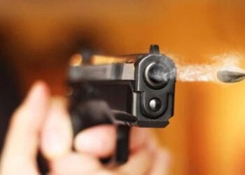 Atenție deținători de arme! O lege secretă vă schimbă peste noapte toate regulile jocului!