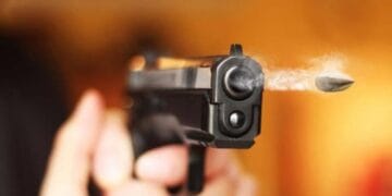 Atenție deținători de arme! O lege secretă vă schimbă peste noapte toate regulile jocului!